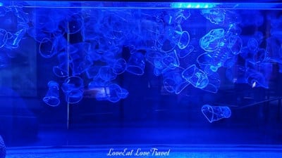 สถานแสดงพันธุ์สัตว์น้ำภูเก็ต