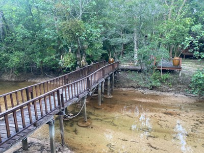 บริเวณโดยรอบ