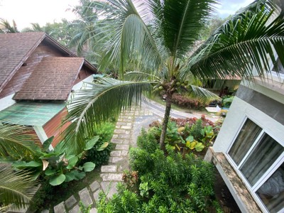 บริเวณโดยรอบ