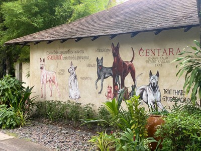 ห้องอาหาร