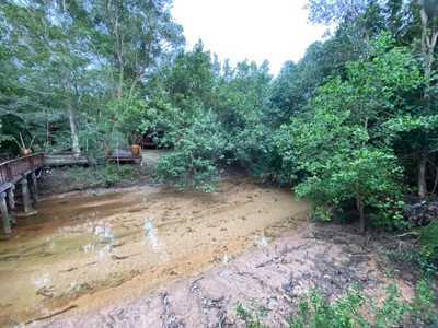 บริเวณโดยรอบ