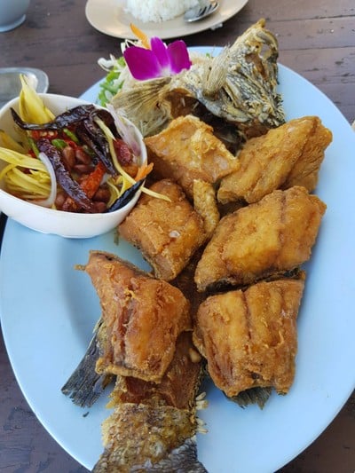 วังมัจฉา