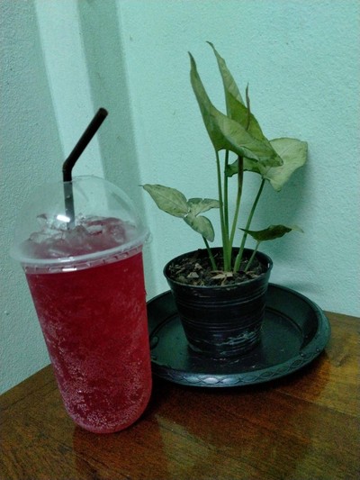 น้ำแดงโซดา