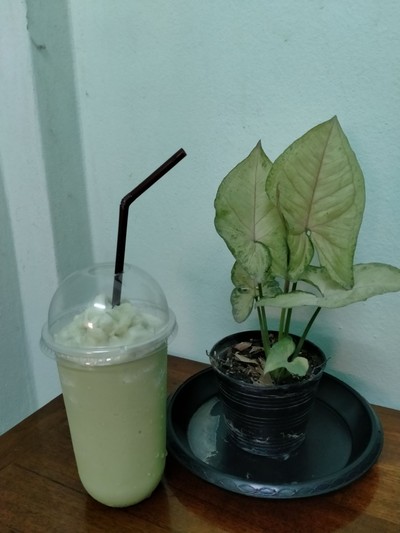 ชาเขียวปั่น