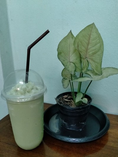 อาหาร หรือ เครื่องดื่ม