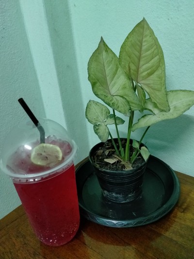 น้ำแดงมะนาวโซดา