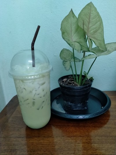 ชาเขียวเย็น