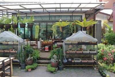 รีวิว Rit Coffee House ศรีสองเมือง - ร้านกาแฟ และร้านขายต้นไม้ ที่ลำพูน รีวิว Rit Coffee House ศรีสองเมือง - ร้านกาแฟ และร้านขายต้นไม้ ที่ลำพูน
