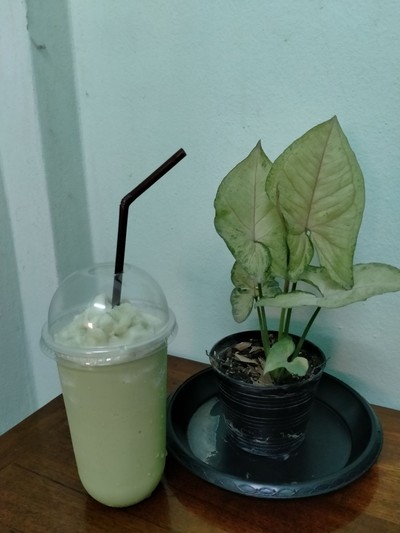 ชาเขียวปั่น