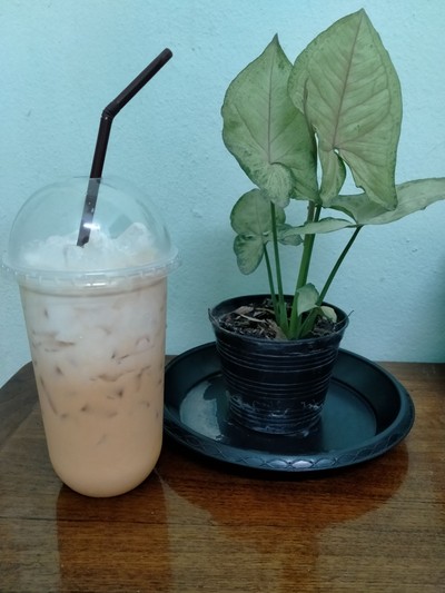 ชานมเย็น