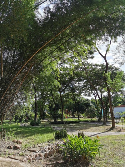 บริเวณโดยรอบ