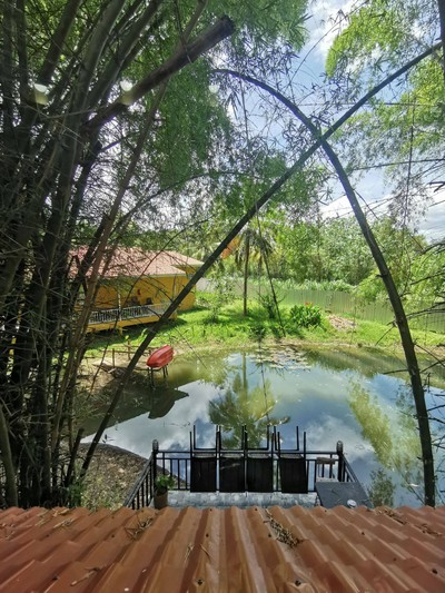 วิวนอกห้อง