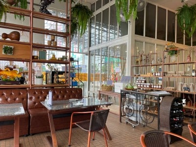กระเพาะทองแดง CopperTummy