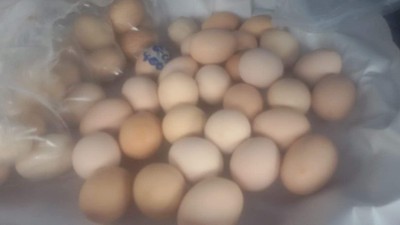 ไข่ข้าว