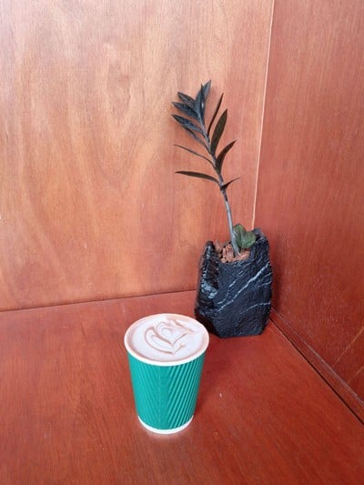 Hot Chocolate
