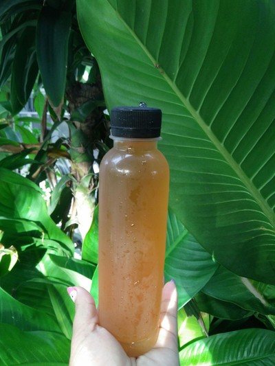 น้ำขิงเย็น