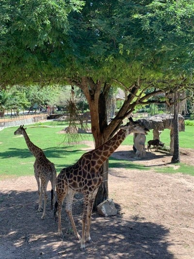 บรรยากาศ