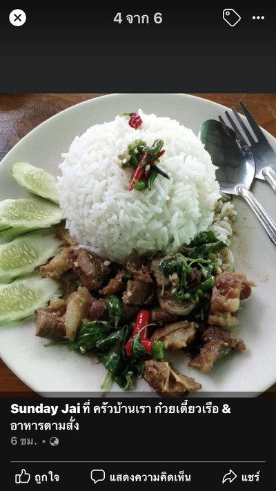 เนือวัว
