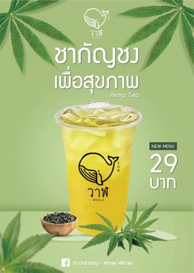 ชากัญชง