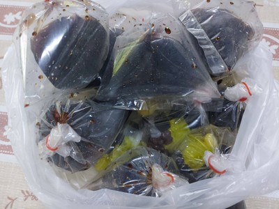 โบ๊กเกี้ย