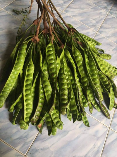 สตอแกะเม็ด