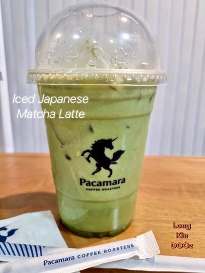 Iced Japanese Matcha Latte