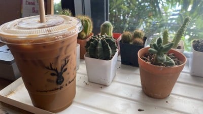 ครอสโร้ด คาเฟ่ สเปเชียลตี้ คอฟฟี่ ในตัวเมืองสุโขทัย