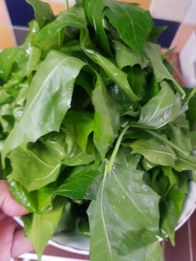 วิธีทำ ผัดไชยาใส่ไข่