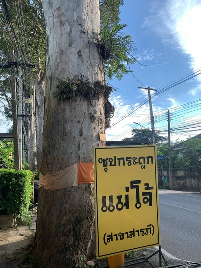 อื่นๆ