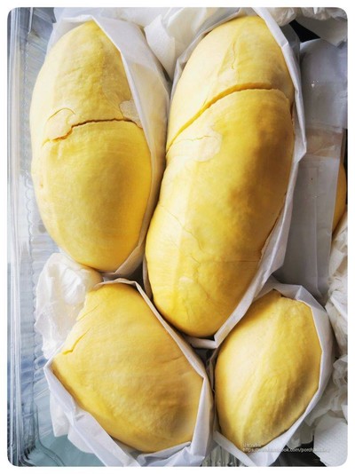 ทุเรียนหมอนทองป่าละอู