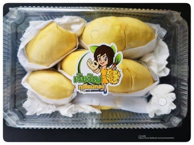 ทุเรียนหมอนทองป่าละอู