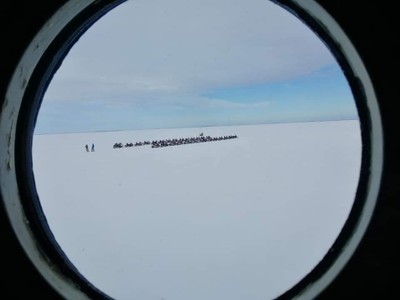 Snowmiboles