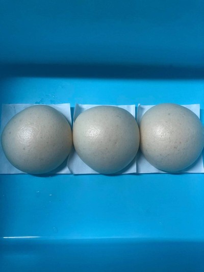 ถั่วดำ 3 ลูก