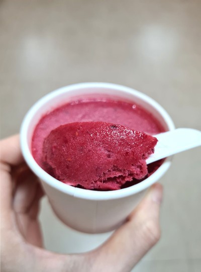 Raspberry Acai Sorbet