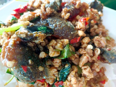 ผัดกะเพราไข่เยี่ยวม้า [ราดข้าว]