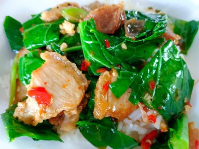 ผัดผักคะน้า (ราดข้าว)