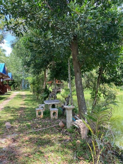 บริเวณโดยรอบ