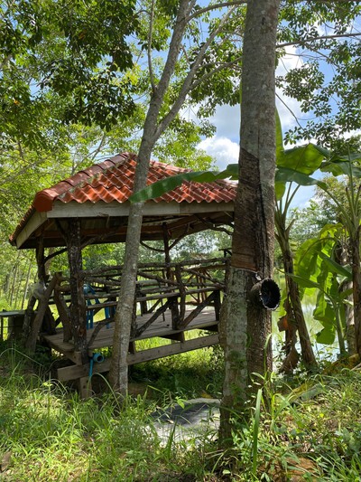 สิ่งอำนวยความสะดวก/กิจกรรม