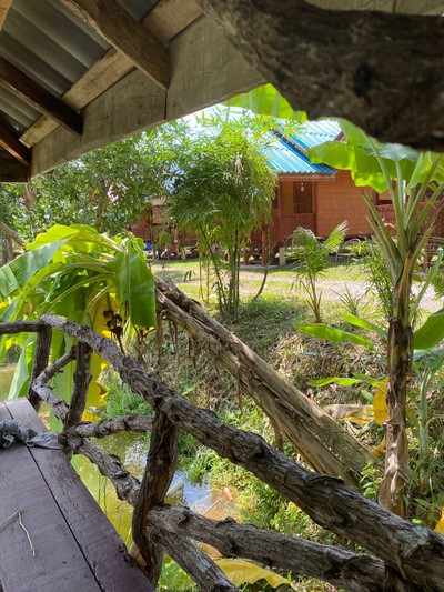 สิ่งอำนวยความสะดวก/กิจกรรม