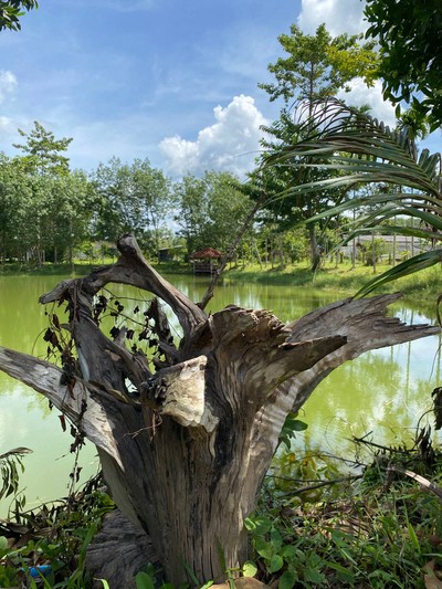 วิวนอกห้อง