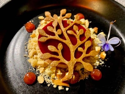 Berry Pana Cotta