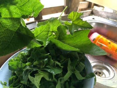 วิธีทำ ยอดฟักทองผัดไข่ 