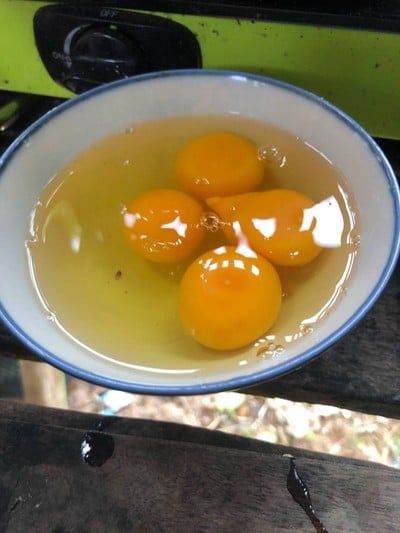 วิธีทำ ยอดฟักทองผัดไข่ 