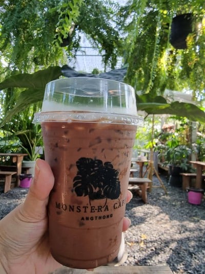 Monstera Cafe & Restaurants Monstera Cafe Angthong