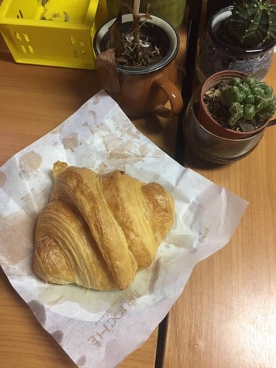 Plain Croissant