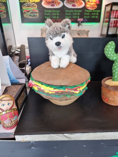 อื่นๆ