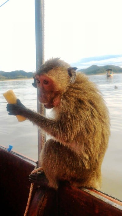 บรรยากาศ