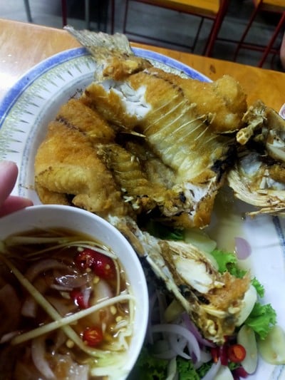 เมนูของร้าน ร้านนายหมาทะเลมีชีวิต ร้านนายหมาทะเลมีชีวิต