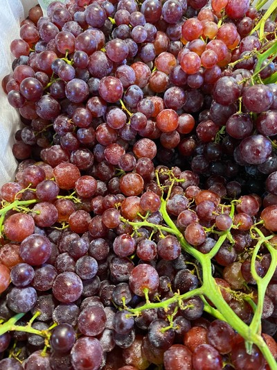 องุ่นไข่ปลา