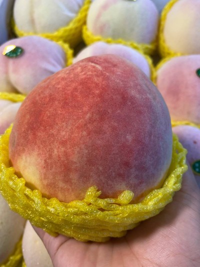 พีชเกาหลี